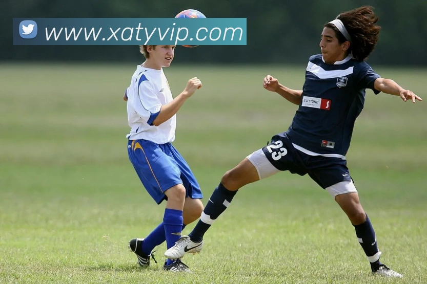 新爱体育平台生态图