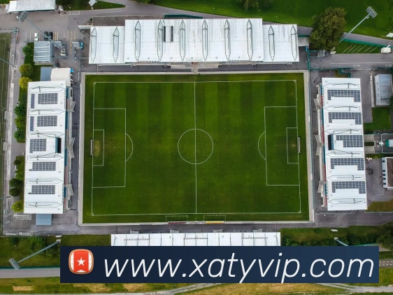 新爱体育APP 封面图